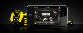 Bwin Casino Information